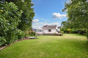 Photo 15- click for photo gallery